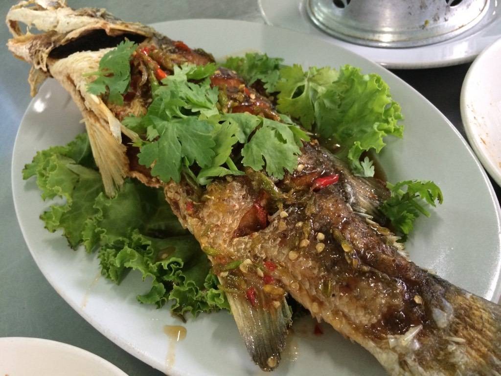 พวงเพชร พวงเพชร