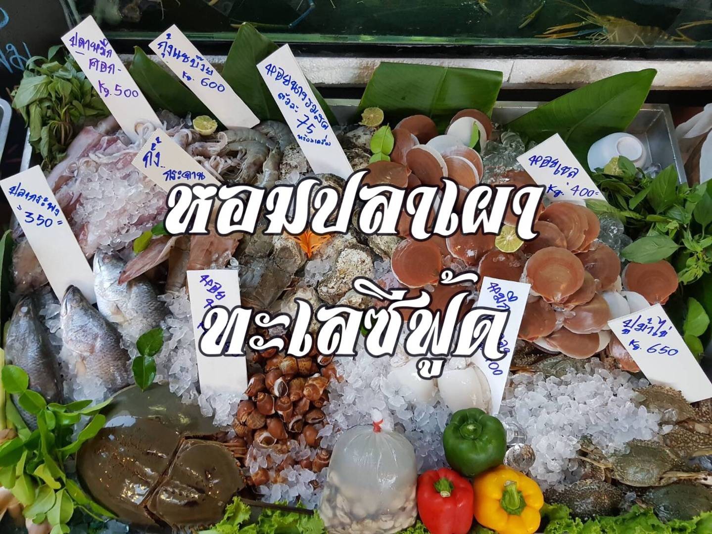 หอมปลาเผา ซ.รัชดา18 หอมปลาเผา ซ.รัชดา18